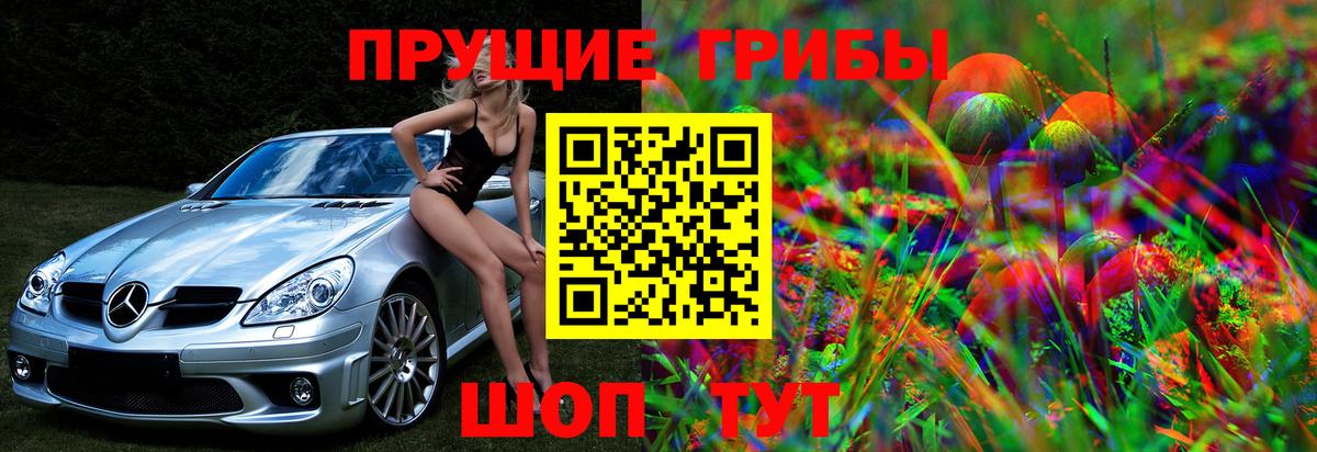 Галлюциногенные грибы Psilocybine cubensis Новоалександровск
