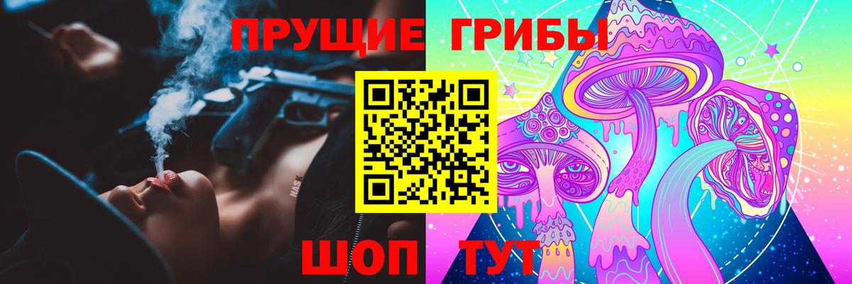 Новоалександровск  Псилоцибиновые грибы Psilocybine cubensis  Вход с VPN 